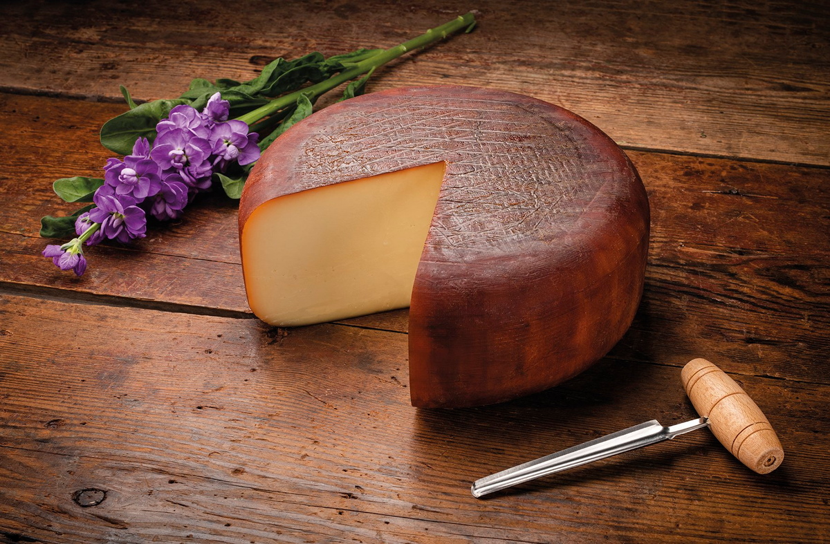 Papillon Tomme de Brebis